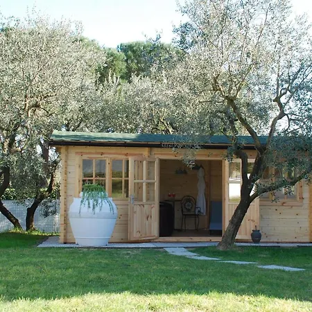 Le Cerbaie - Holiday home Lamporecchio