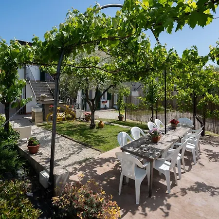 Le Cerbaie - Holiday home Lamporecchio