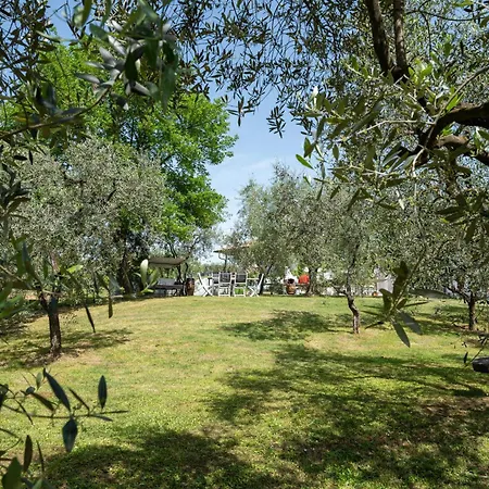 Le Cerbaie - * Lamporecchio